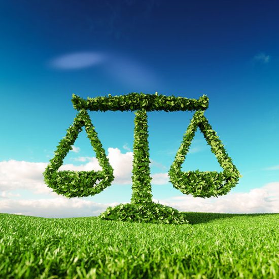 dip-giurisprudenza-01